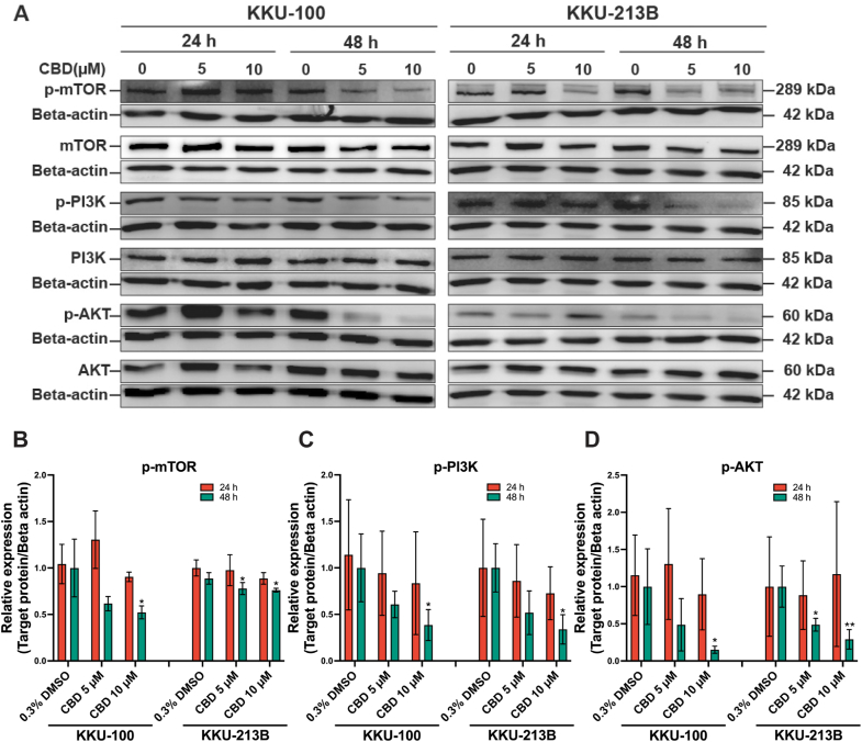 PMC11752120 – fig6
