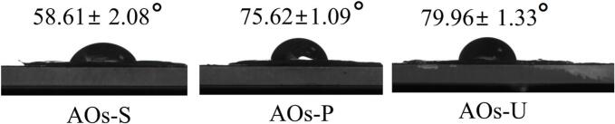 PMC12166704 – f0030