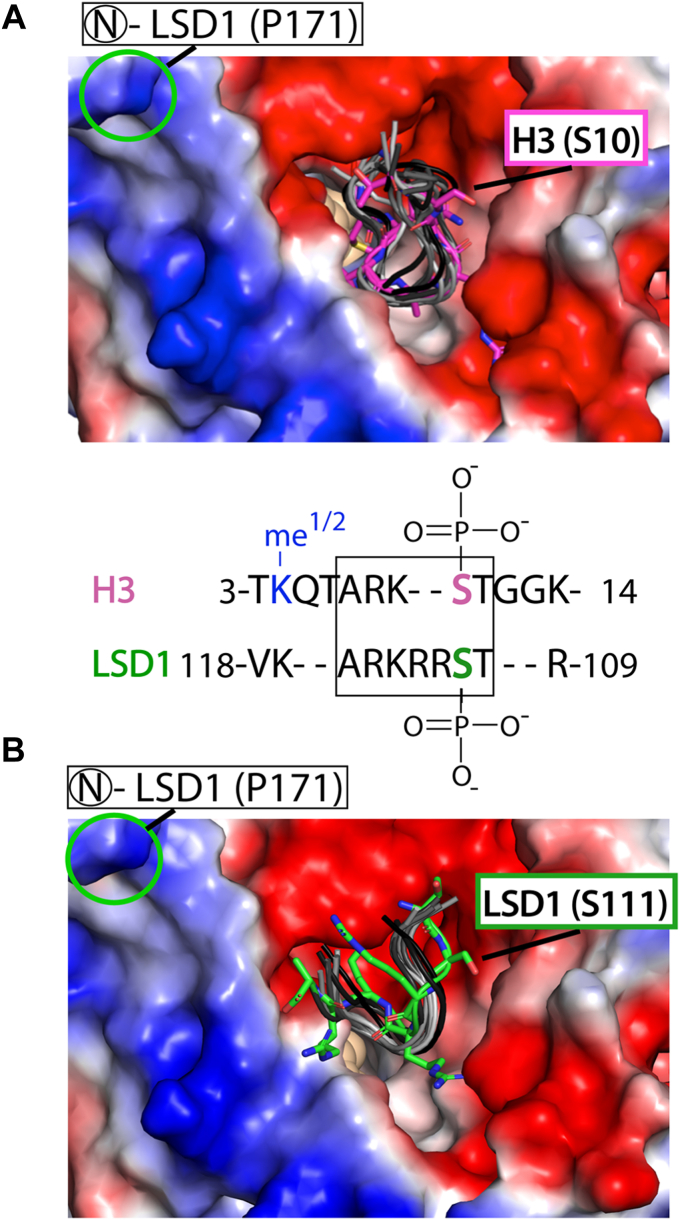 PMC11388019 – fig6