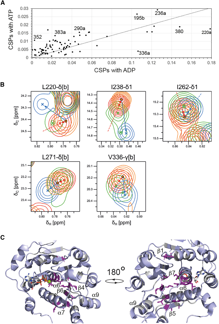 PMC11617632 – fig6