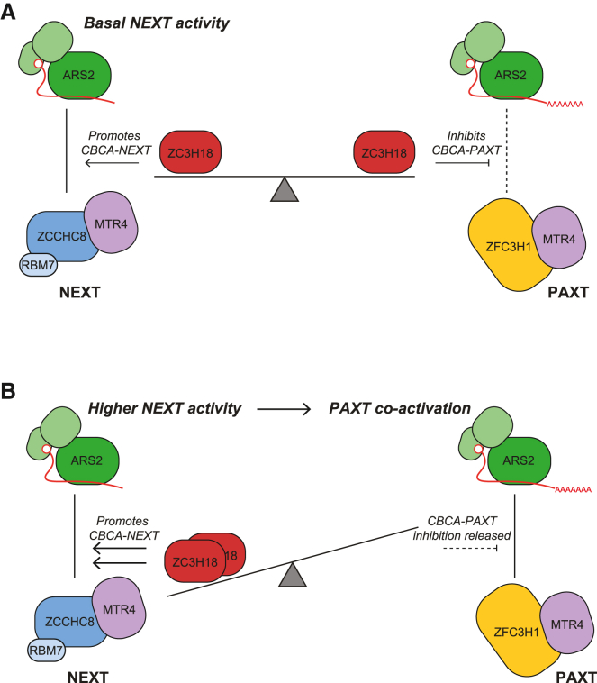 PMC10720265 – fig6