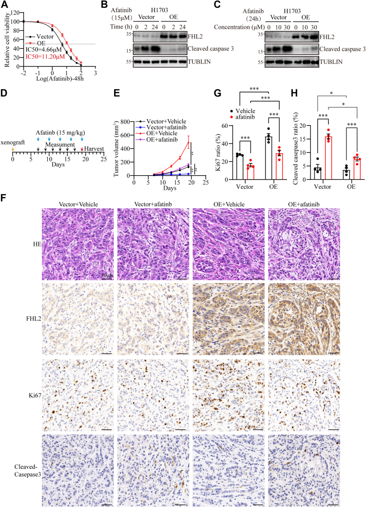 PMC12269609 – fig6