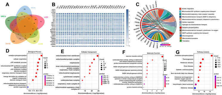 PMC12359157 – fig6