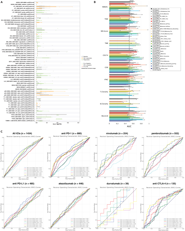 PMC11269305 – fig6
