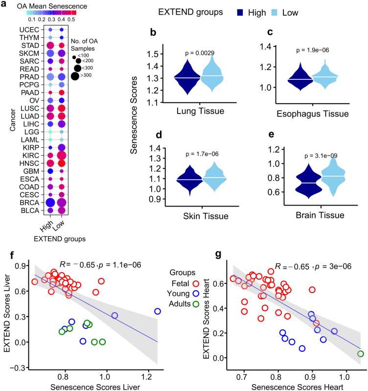 PMC12663852 – fig0030