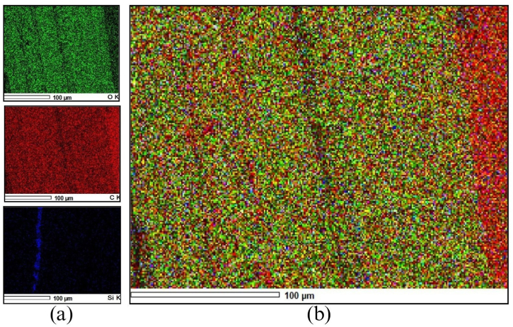 PMC11783020 – fig6
