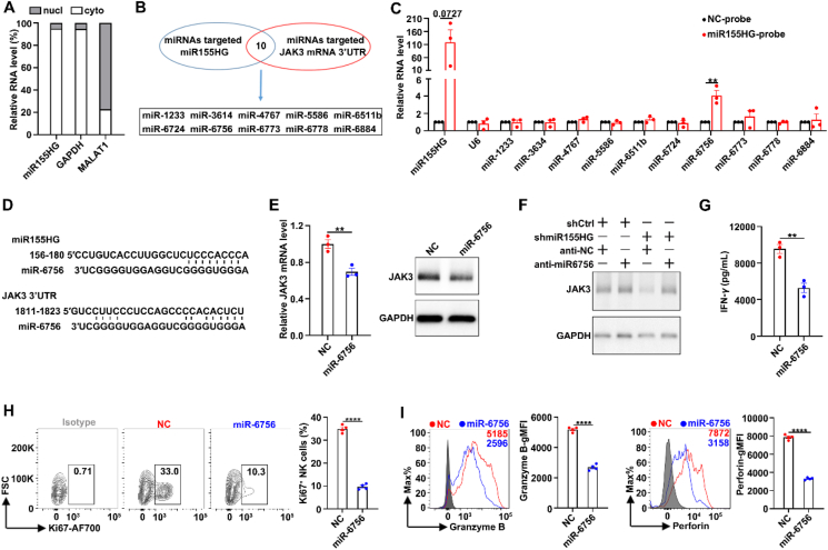 PMC12138116 – fig6
