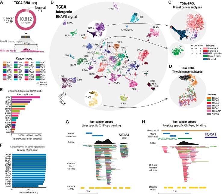 PMC10589727 – fig6