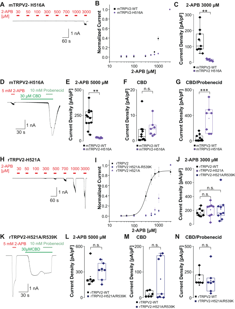PMC12489355 – fig6