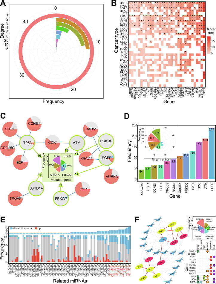 PMC7658657 – f0030