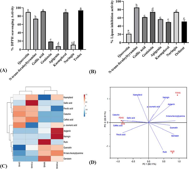 PMC10901904 – f0030