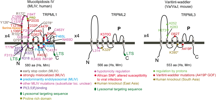PMC12799467 – fig6