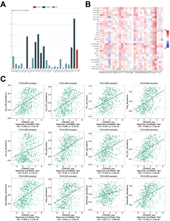 PMC11848474 – fig0030