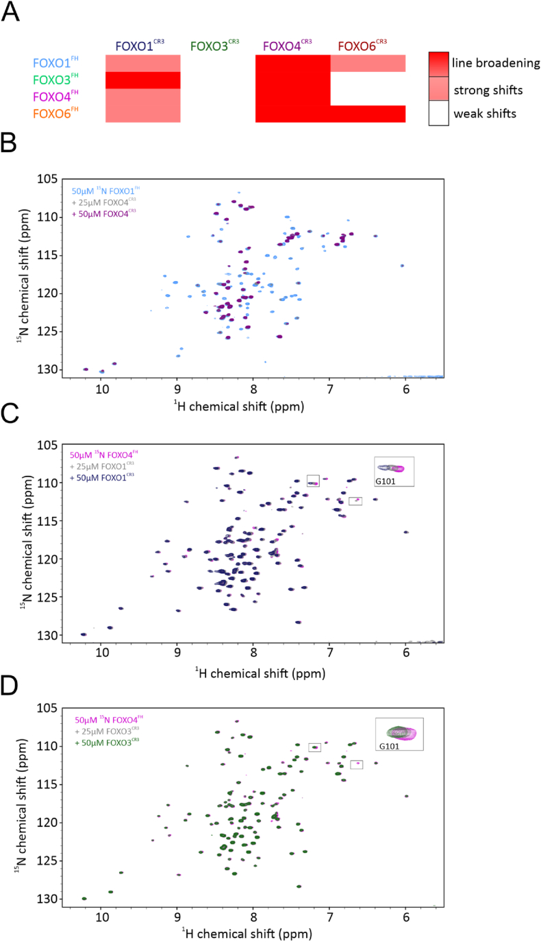 PMC9097636 – fig7