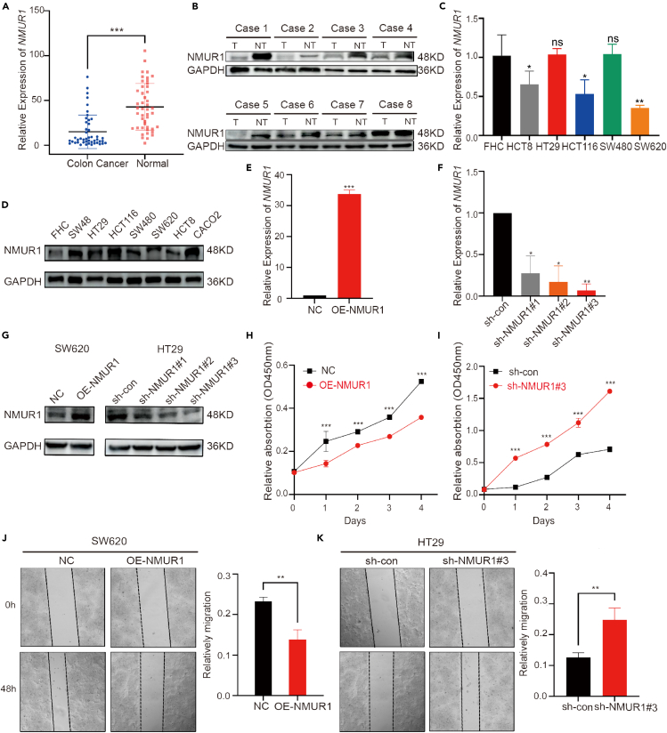 PMC11269305 – fig7