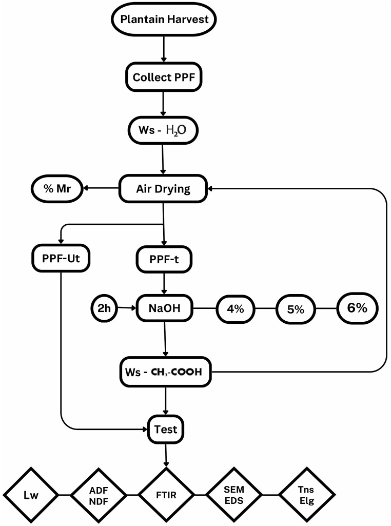 PMC11783020 – fig7