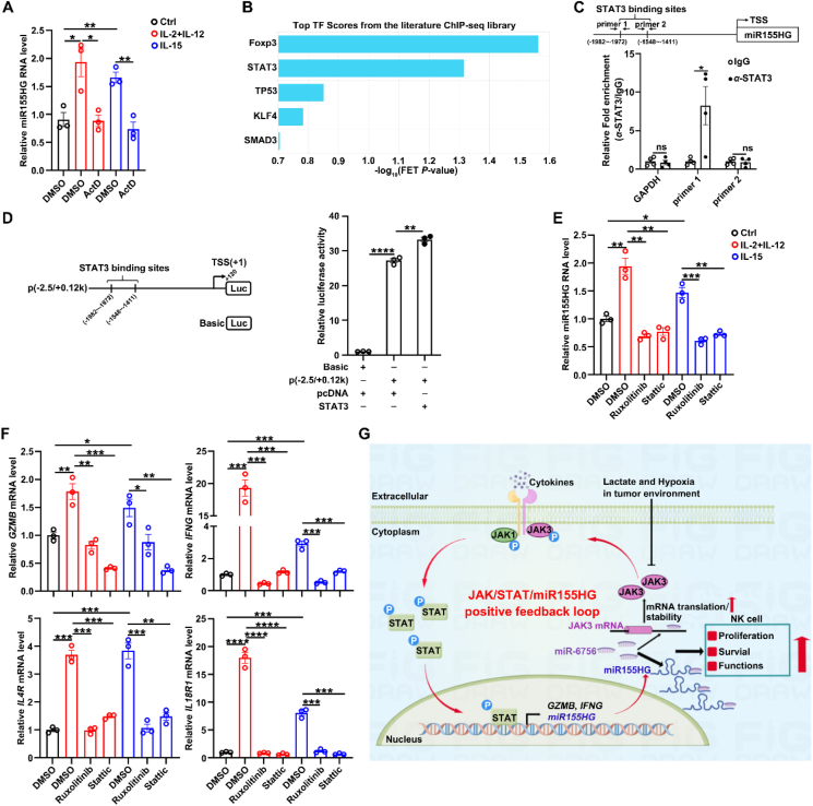 PMC12138116 – fig7