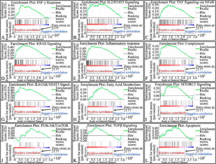 PMC10803920 – fig7