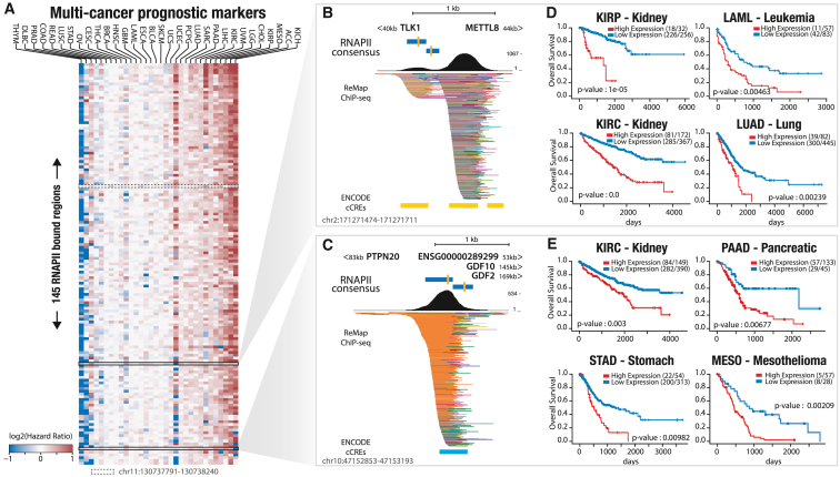 PMC10589727 – fig7
