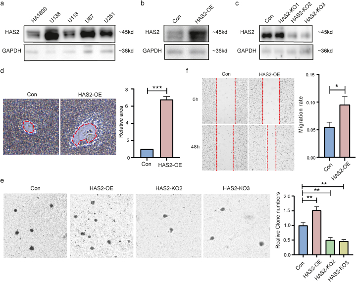 PMC10448108 – fig7