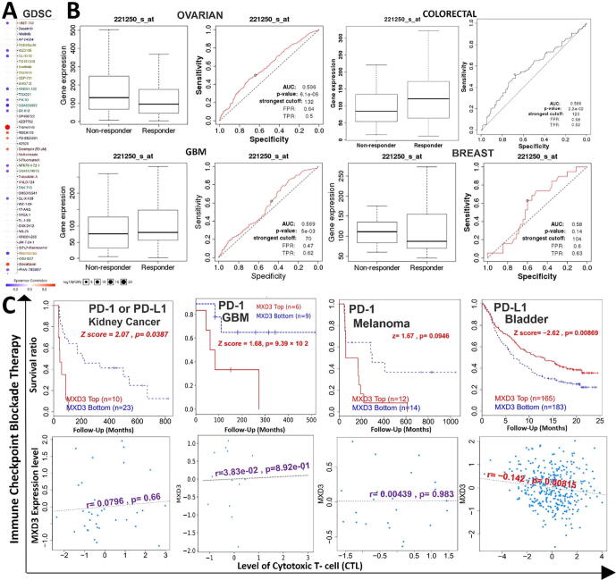 PMC8441106 – f0035