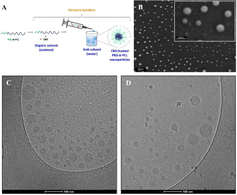 PMC13104654 – fig7