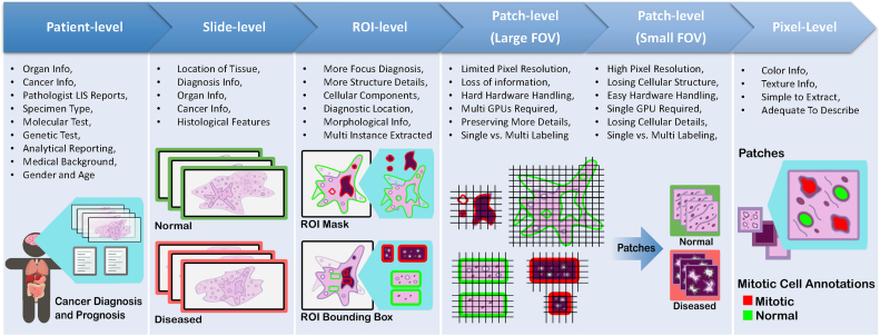 PMC10900832 – f0035
