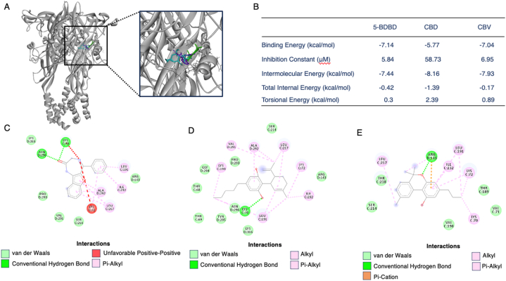 PMC10618793 – fig7
