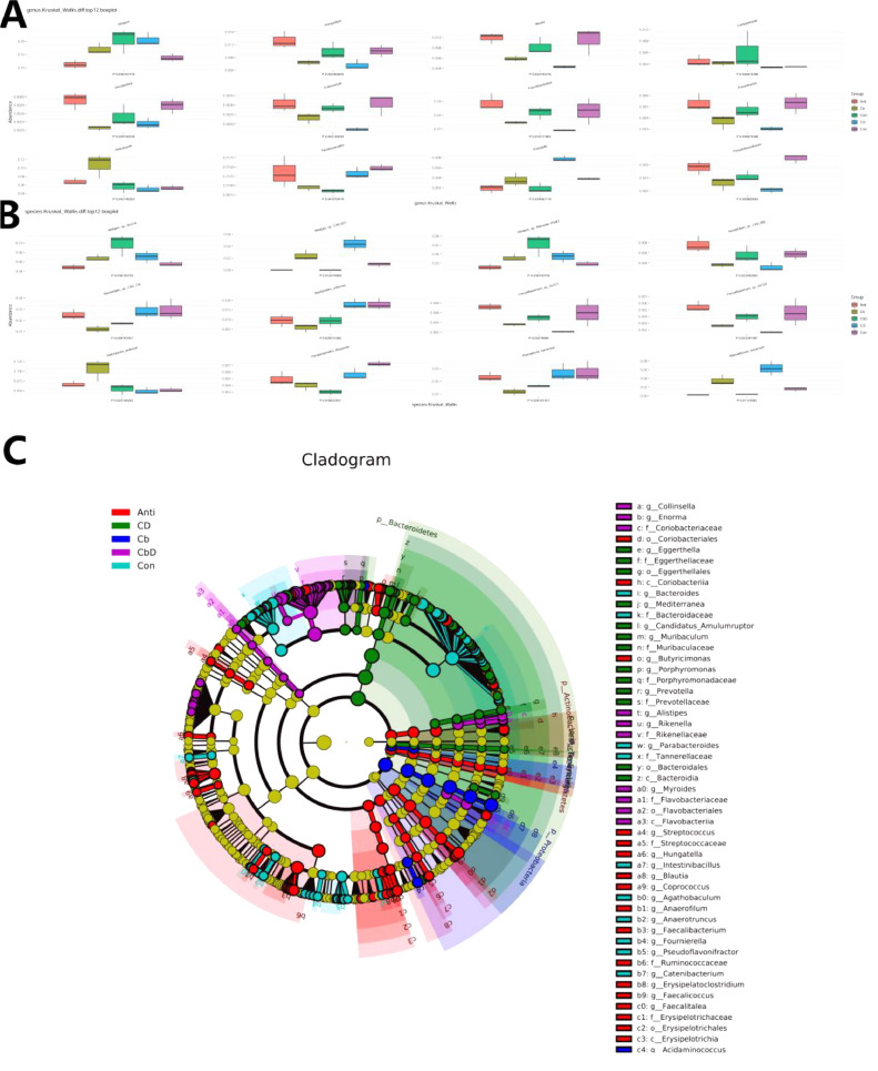 PMC11269786 – fig0007