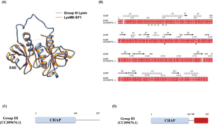 PMC11525621 – fig7