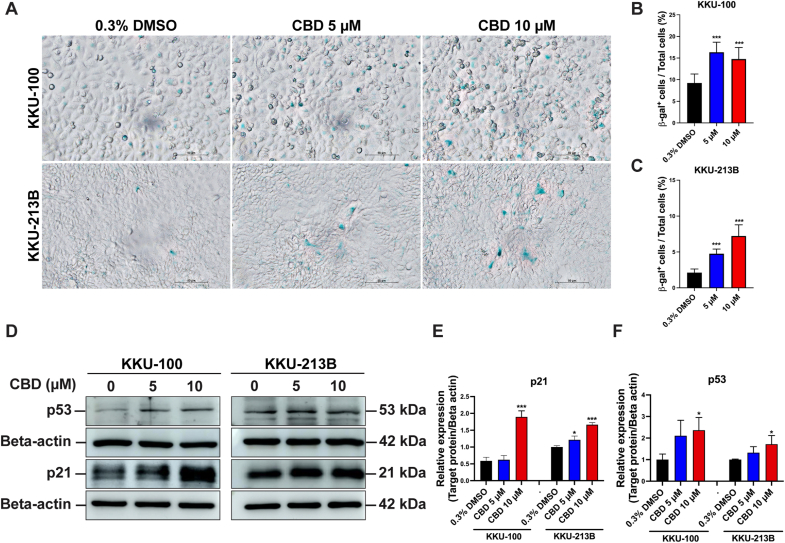 PMC11752120 – fig7