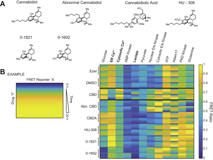PMC9525918 – fig7