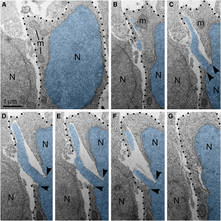 PMC12341634 – fig8