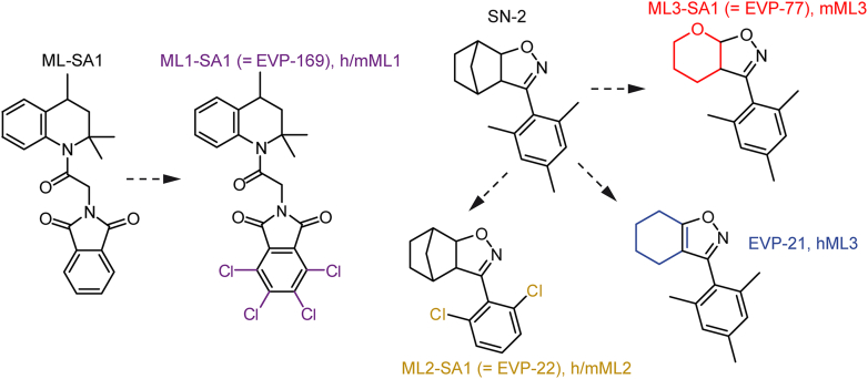 PMC12799467 – fig8