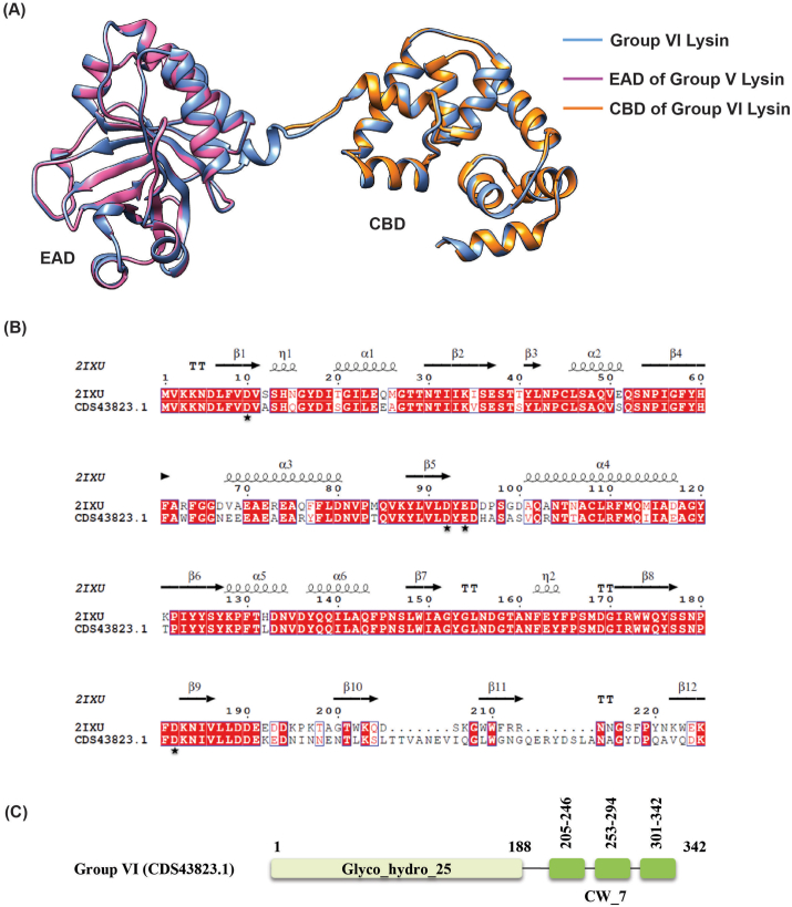 PMC11525621 – fig8