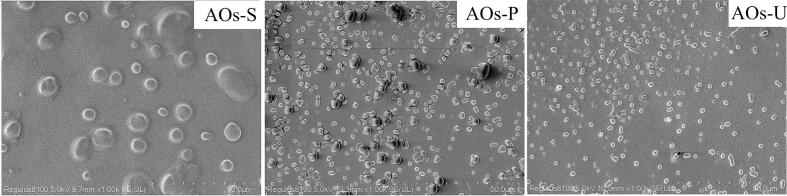 PMC12166704 – f0040