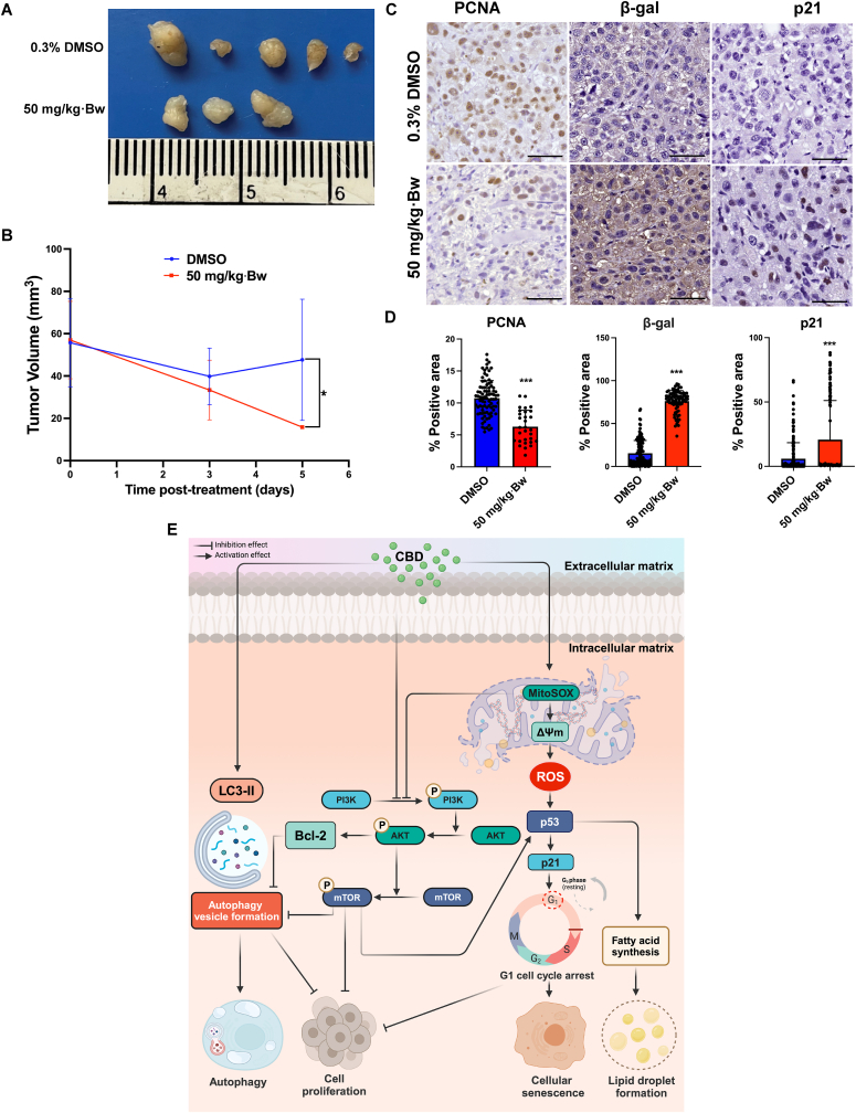 PMC11752120 – fig8