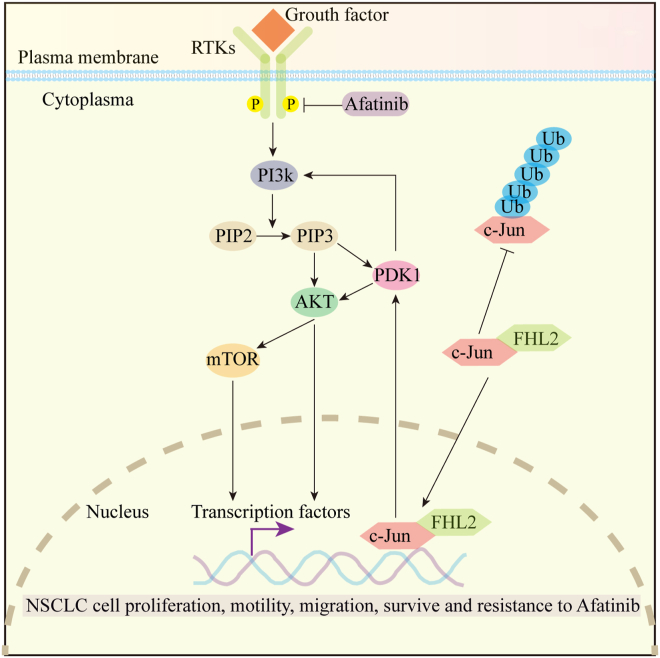 PMC12269609 – fig8