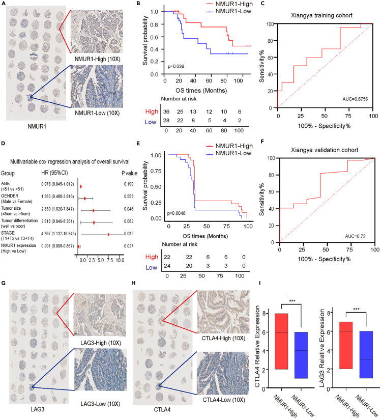 PMC11269305 – fig8