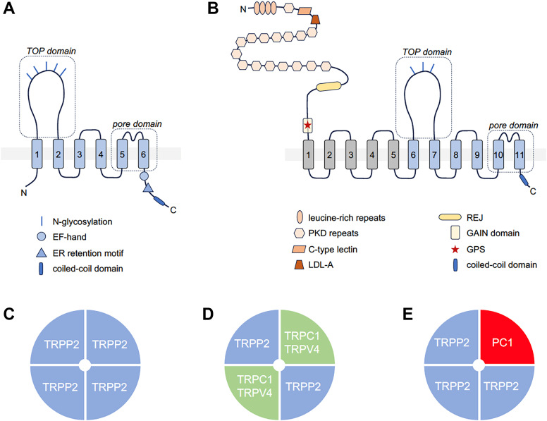 PMC12799467 – fig9