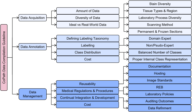 PMC10900832 – f0045
