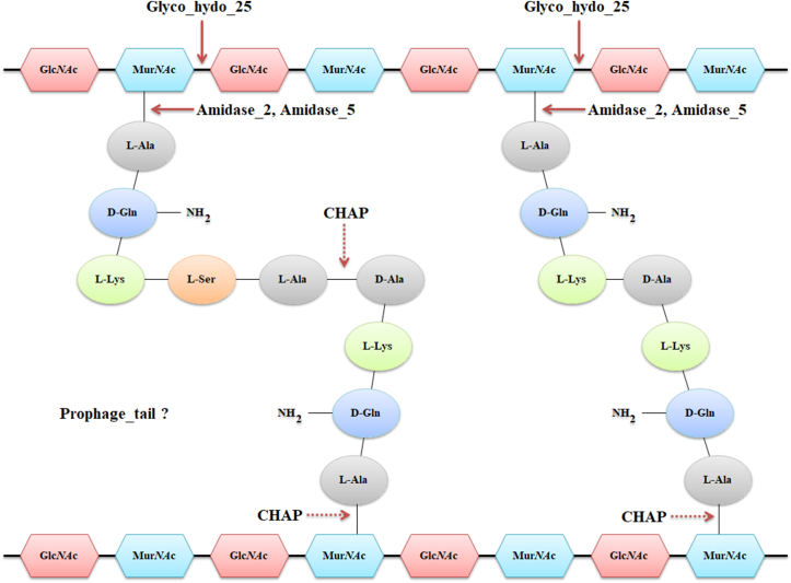 PMC11525621 – fig9