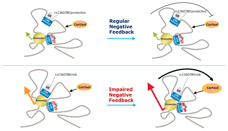 PMC7712185 – healthcare-08-00376-f002