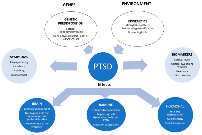 PMC7712185 – healthcare-08-00376-f003