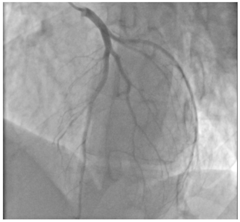 PMC9602483 – healthcare-10-02024-f002