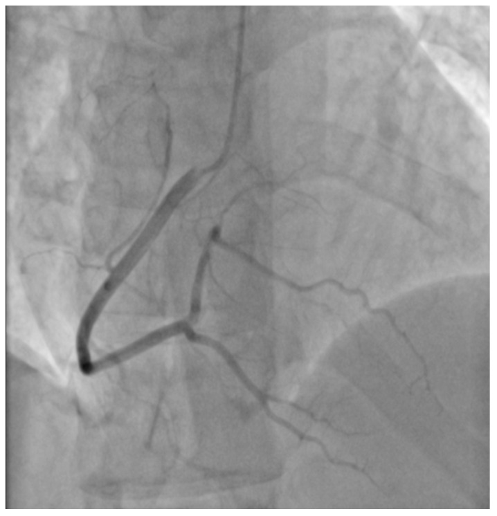 PMC9602483 – healthcare-10-02024-f003