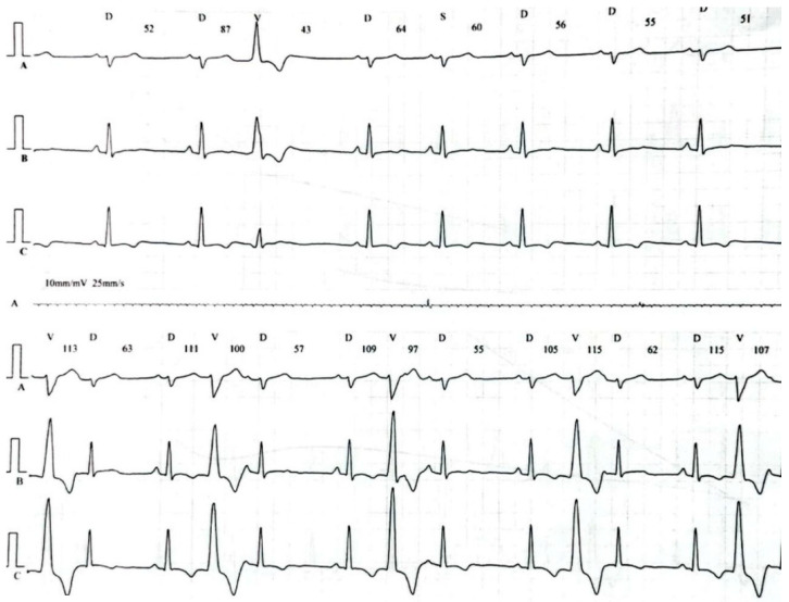 PMC9602483 – healthcare-10-02024-f007