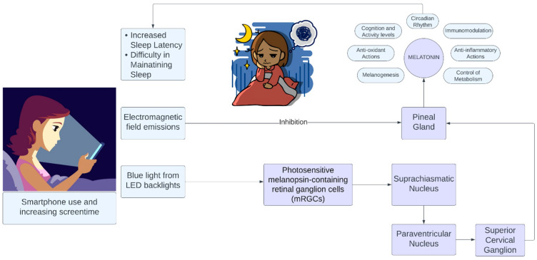 PMC10649238 – healthcare-11-02891-f001