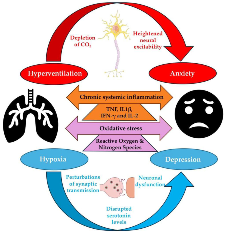 PMC12470185 – healthcare-13-02344-f002
