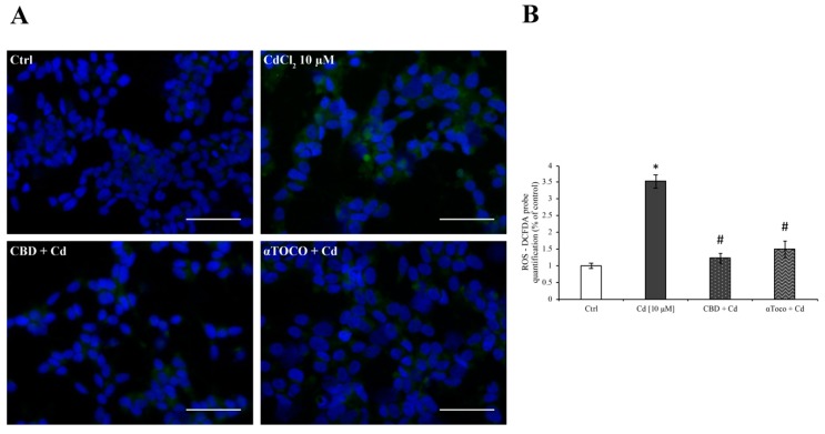 PMC6888634 – ijerph-16-04420-f002